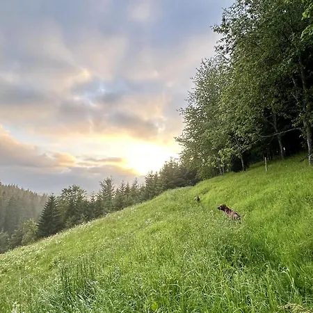 Atelier-loft Im Hübschental Gutenbach