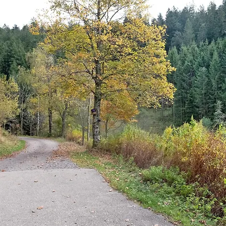 Lejlighed Atelier-loft Im Huebschental Gutenbach