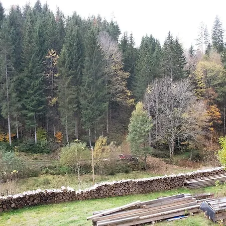 Apartamento Atelier-loft Im Hübschental Gutenbach