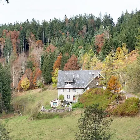 Apartamento Atelier-loft Im Hübschental Gutenbach